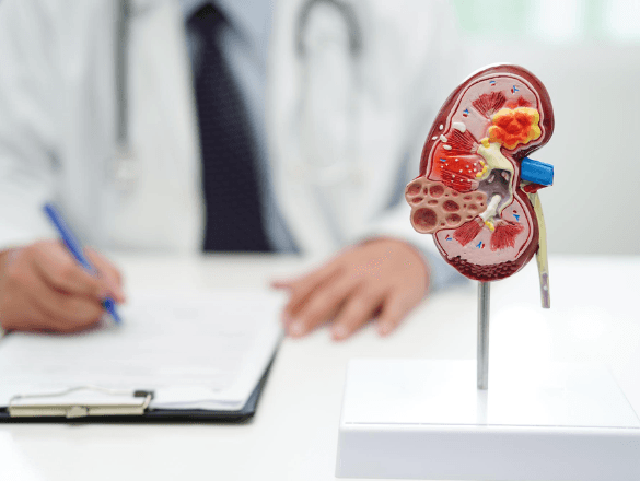 Nephrology