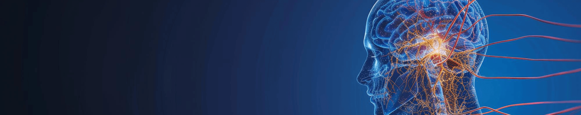 Neurology and Neurosurgery - NSMCH Patna